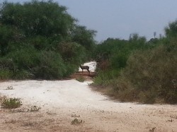 VTT-6427