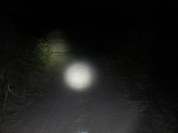 VTT-6447