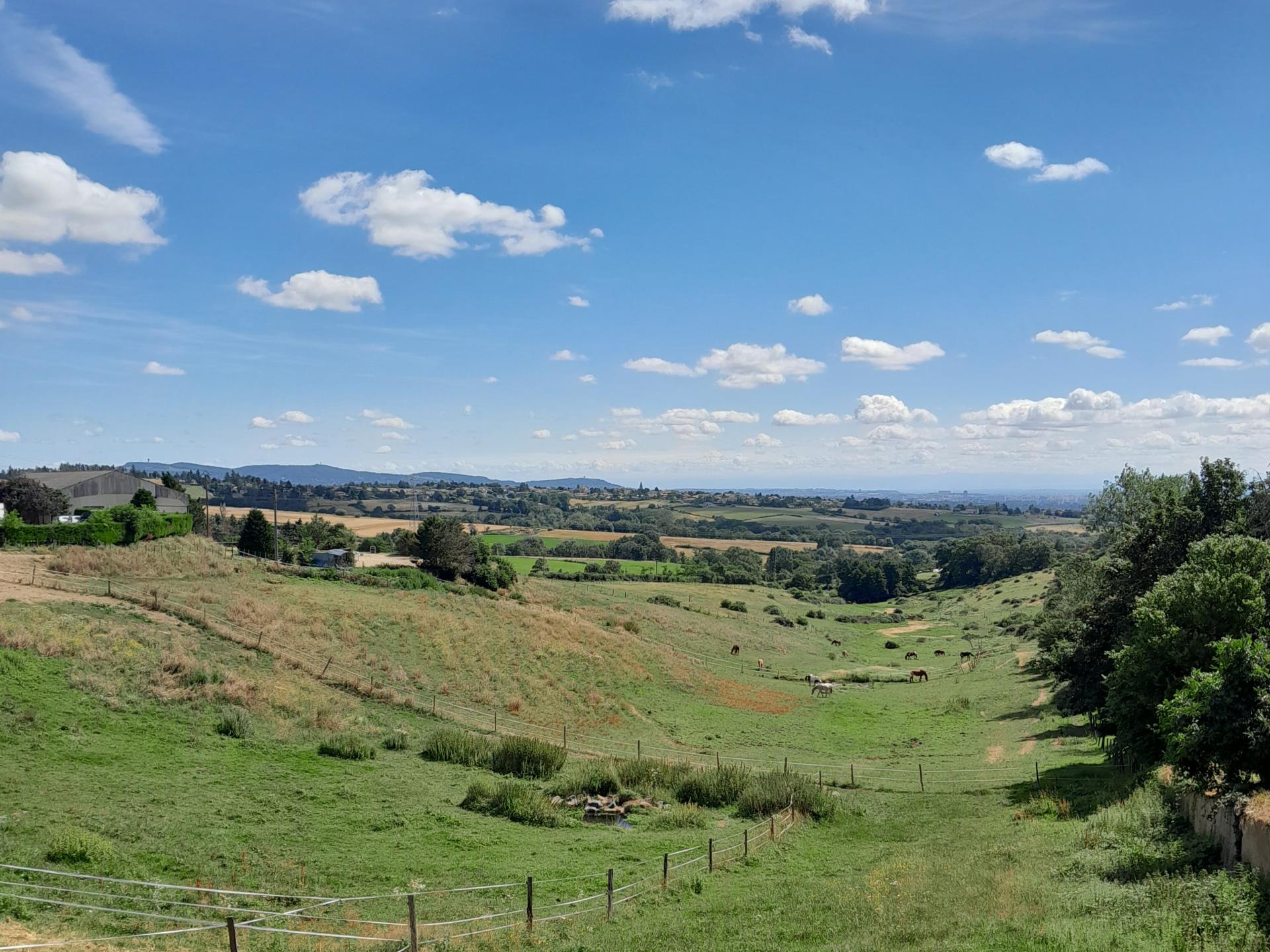 Pollionnay - Circuit N° 25 : Les deux versants