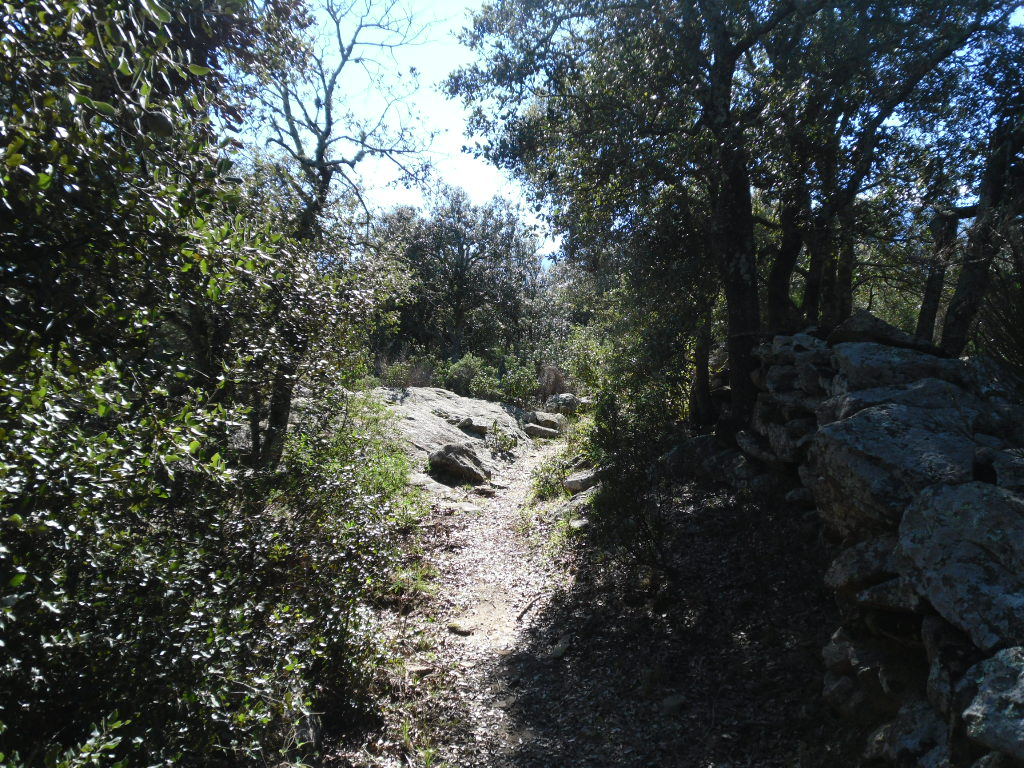 Marcevol - Circuit N°3