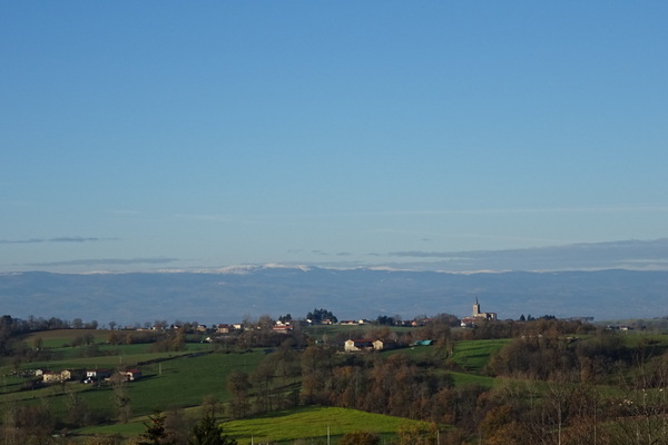 Saint-Cyr-les-Vignes