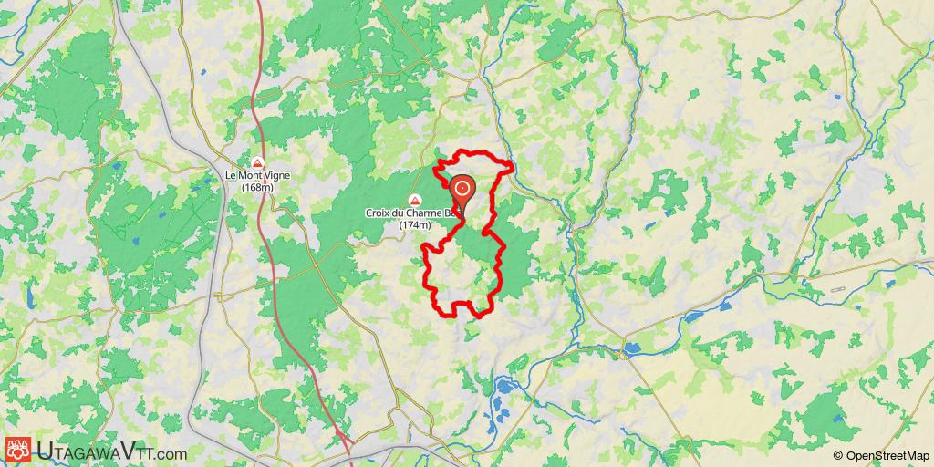 Forêt de Bercé - Circuit N° 8