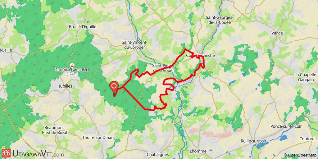 Forêt de Bercé - Circuit N° 11
