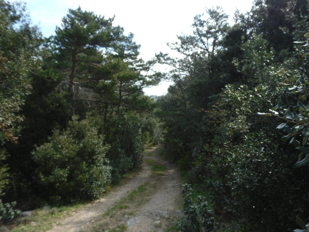 Fenouillet - Boucheville - Circuit N°1