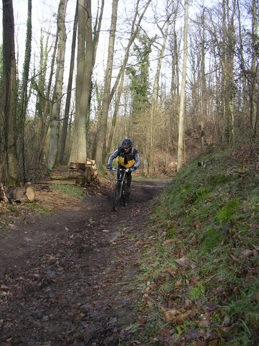 Bois de Trappes - Saclay - La Minière