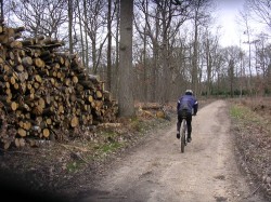 GR11 entre le camp militaire de Satory et Buc avant de descendre à l'étang de Geneste pour rejoindre les étangs de la Minière