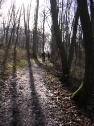 Après Chateaufort en direction de Viliers le Bacle