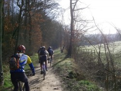 Chemin longeant les abords du Parc National Régional de la Haute Vallée de Chevreuse; peu avant la traversée de la D91.