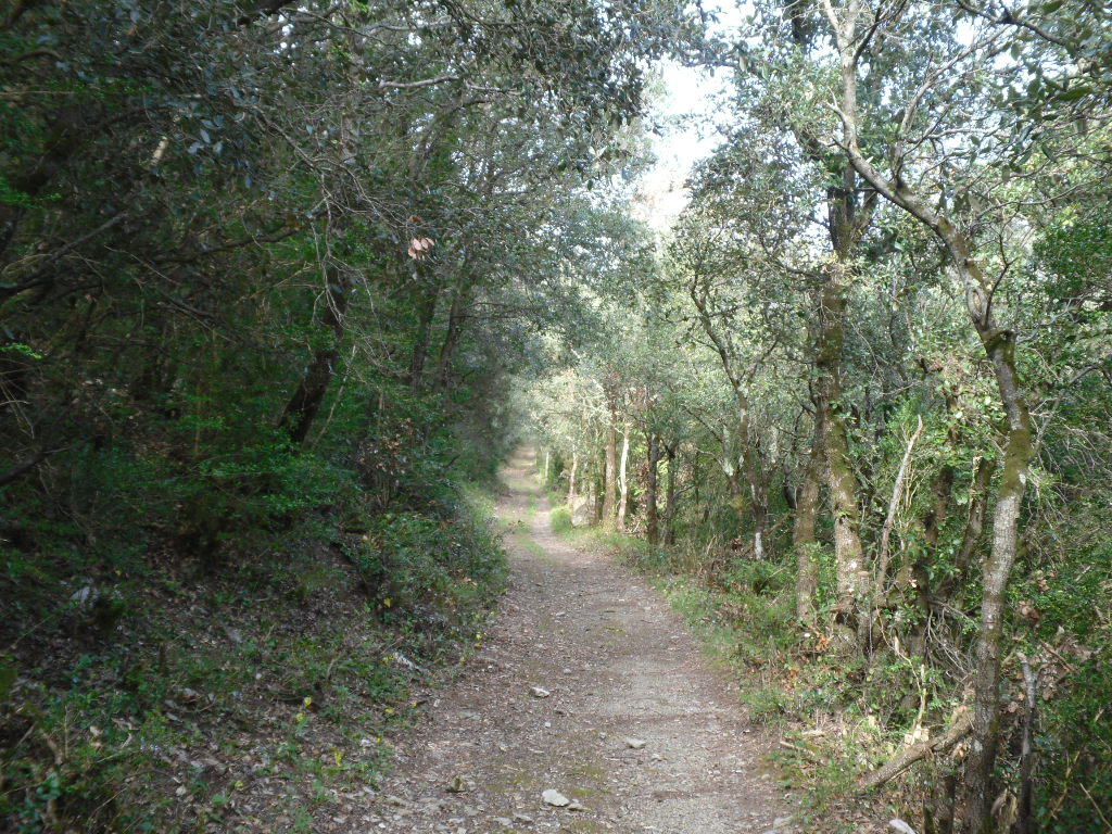 Fenouillet - Boucheville - Circuit N°3
