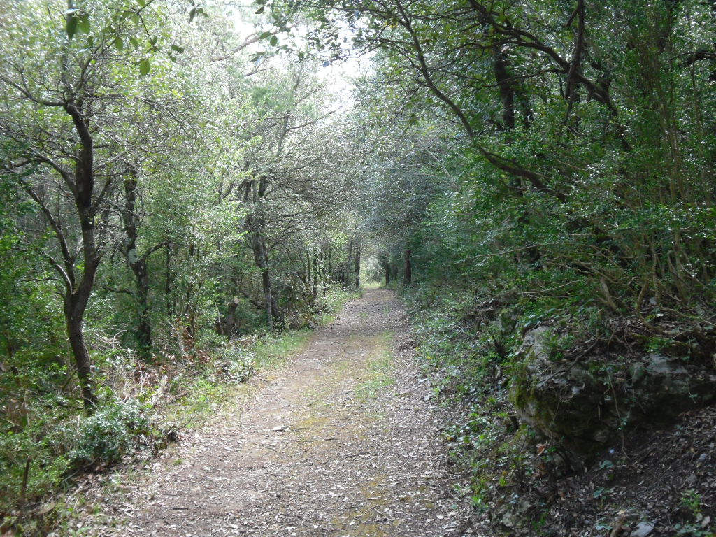 Fenouillet - Boucheville - Circuit N°4