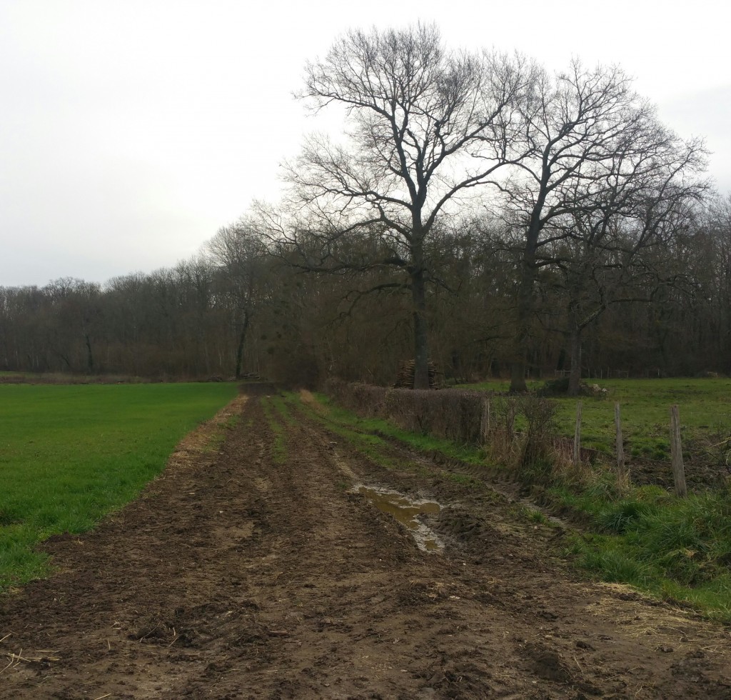 Campagne icaunaise