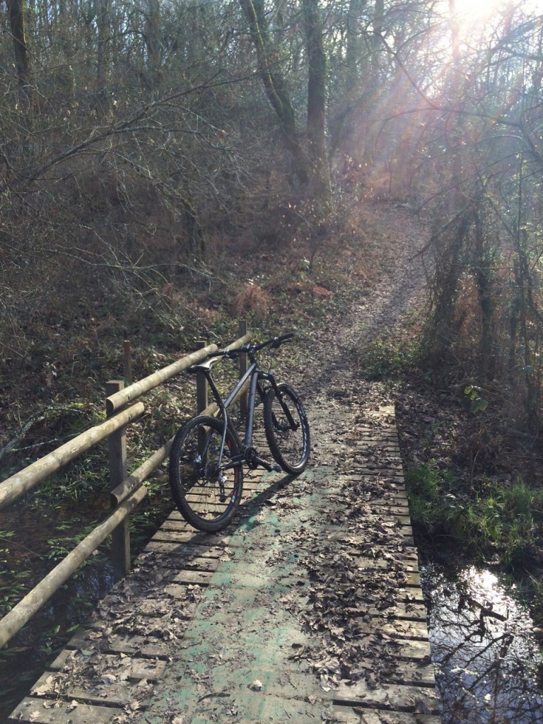 Bois de Sauvagnon