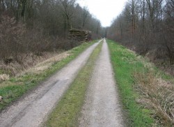 06.Mersuay.Bois du Chanois.Vers D28
