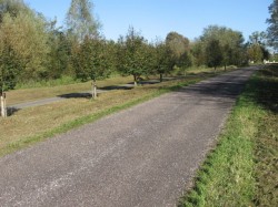 14.Faverney.La voie du Tram
