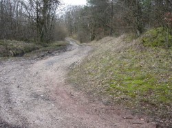 04.Meurcourt.Mt Vaulot.Chemin à 8% négatif