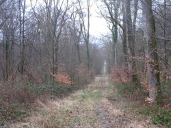 13.Le Val St Eloi.Bois Le Prays.Vers D52