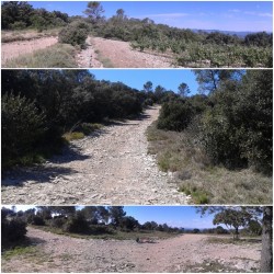 Sur les crêtes entre Pompignan et Claret
