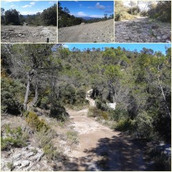 Montée dite de Foulaquier/Mas del Ranq (Montée vers Pompignan)