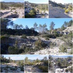 Single des canyons