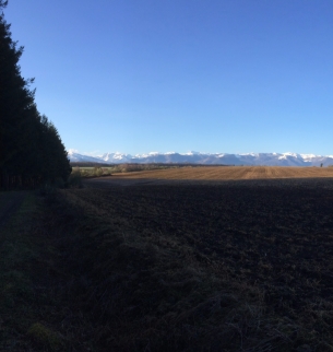Camp de Ger - Petite Boucle N°1