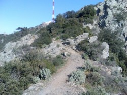 Cheminement depuis l'antenne