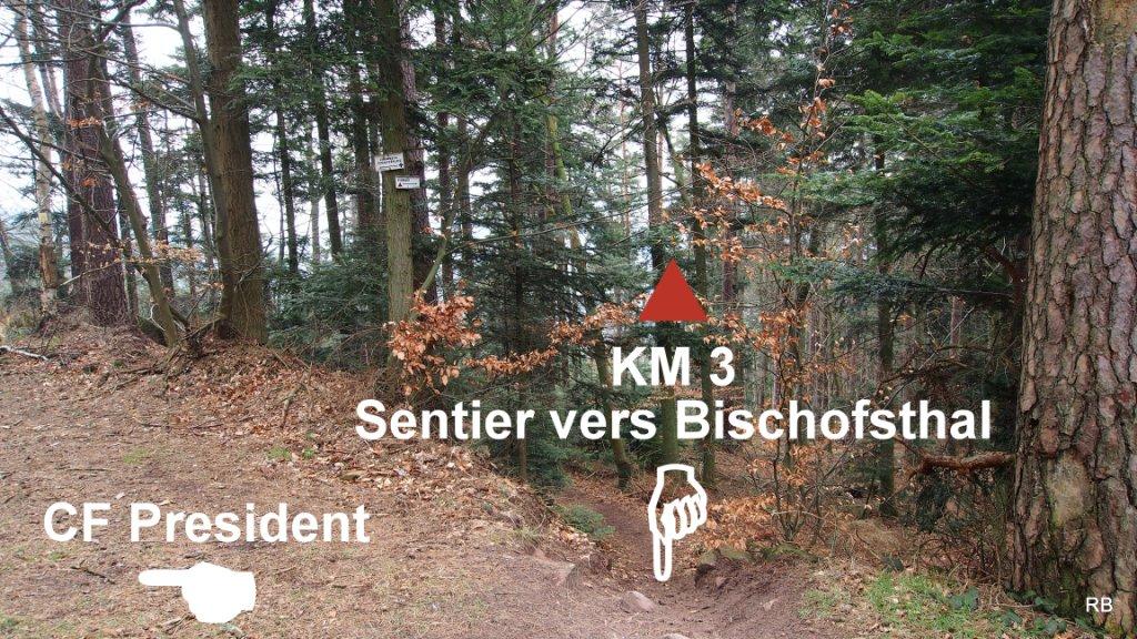 Saverne - Baerenbach - Neubaufels - Saverne