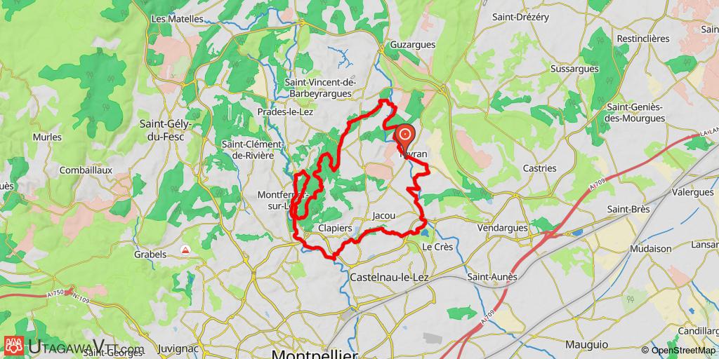 Sur les bords du Lez et du Salaison