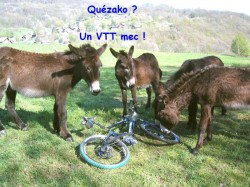 VTT-448