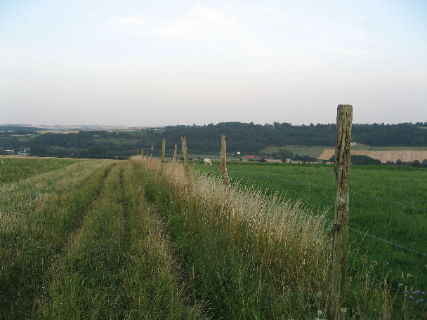 Nielles-lès-Bléquin - Les Brouillards