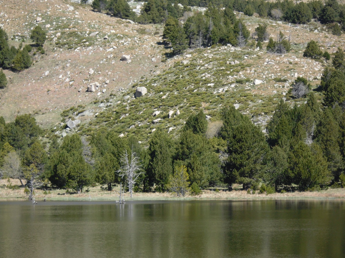 Nohèdes - Estany del Clot