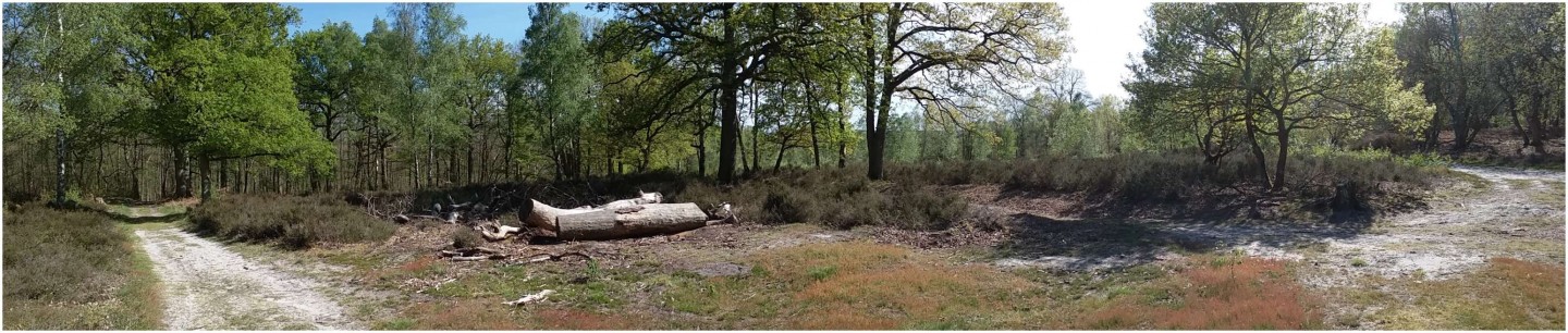 Rambouillet - Rochefort - Saint-Arnoult - Sonchamp