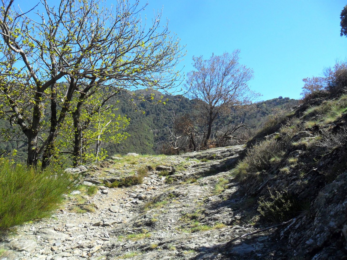 Boucle Valleraugue, Aigoual, abîme de Bramabiau, D986