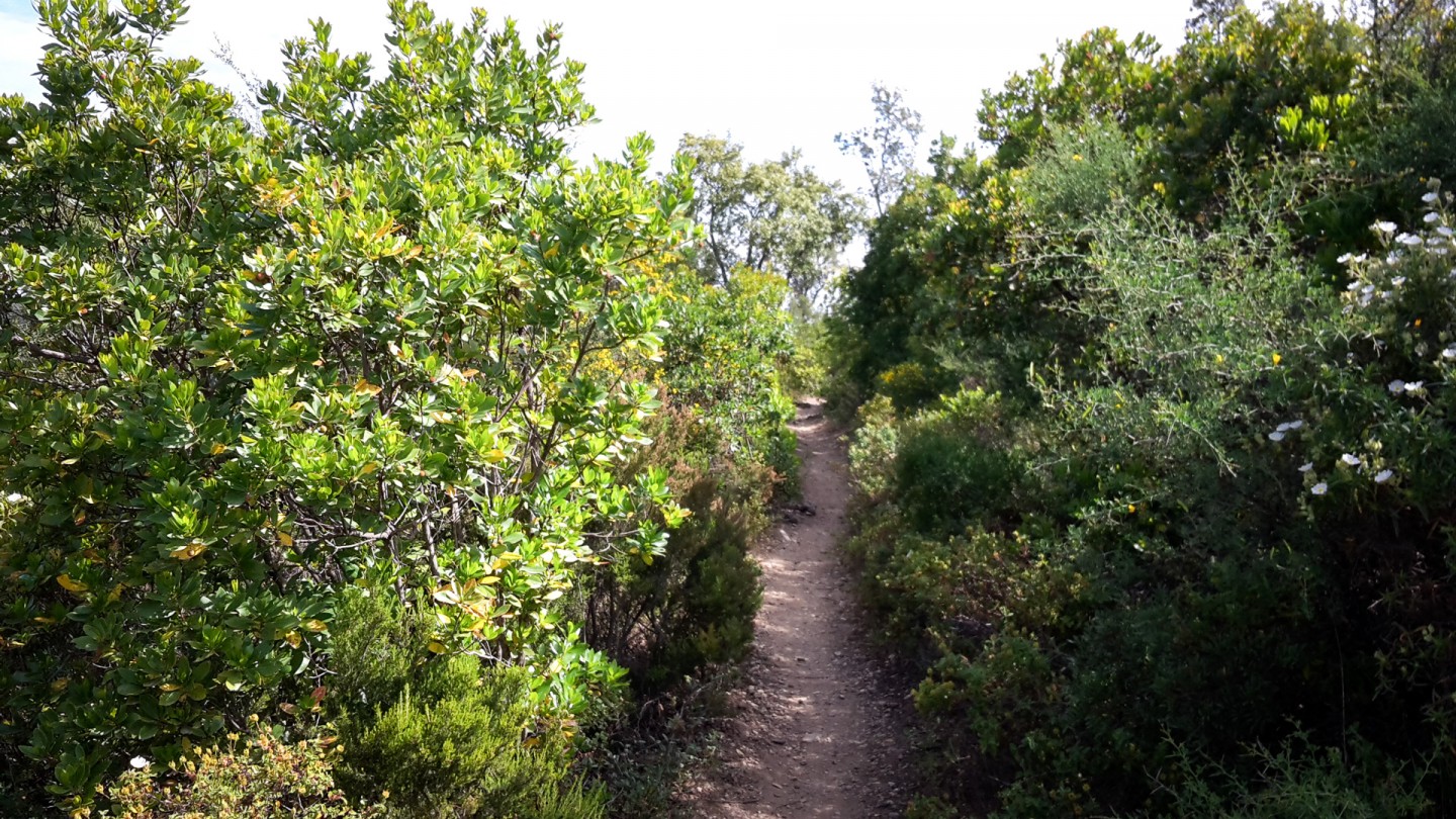 Col du Bougnon - Bois de la Gaillarde - Bord de mer