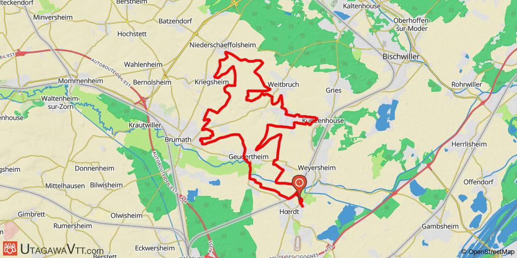Hoerdt - Randonnée des Asperges 2016 - 40 km