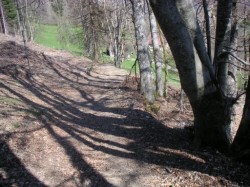 Descente entre les Seujets et Maillet