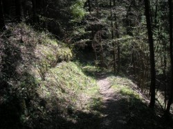 Dans le descente entre le Foué et Marignier
