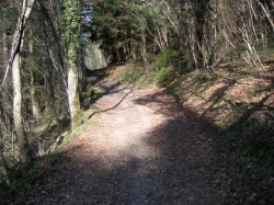Entre la Riolle et Sur Coux