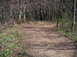 Descente sur le Bois-Gervaz