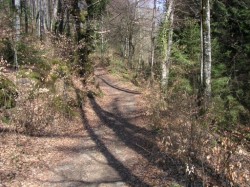 Descente sur le Bois-Gervaz
