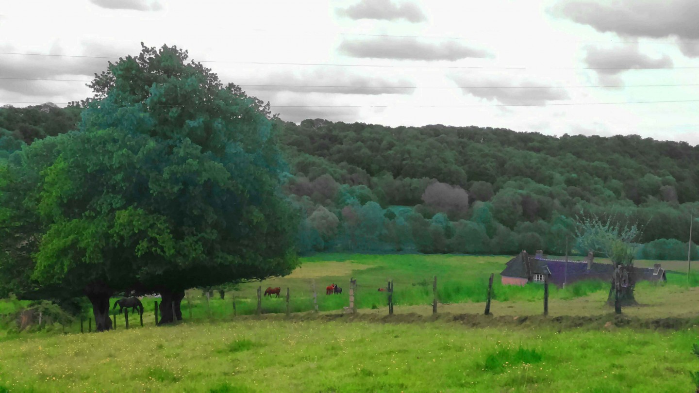 Forêt de Réno-Valdieu