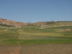 Asffala