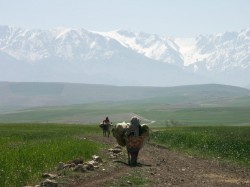 Plateau du Kik
