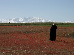 Plateau du Kik