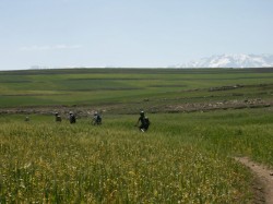 Plateau du Kik