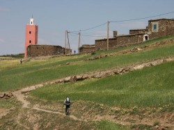 Tanzat