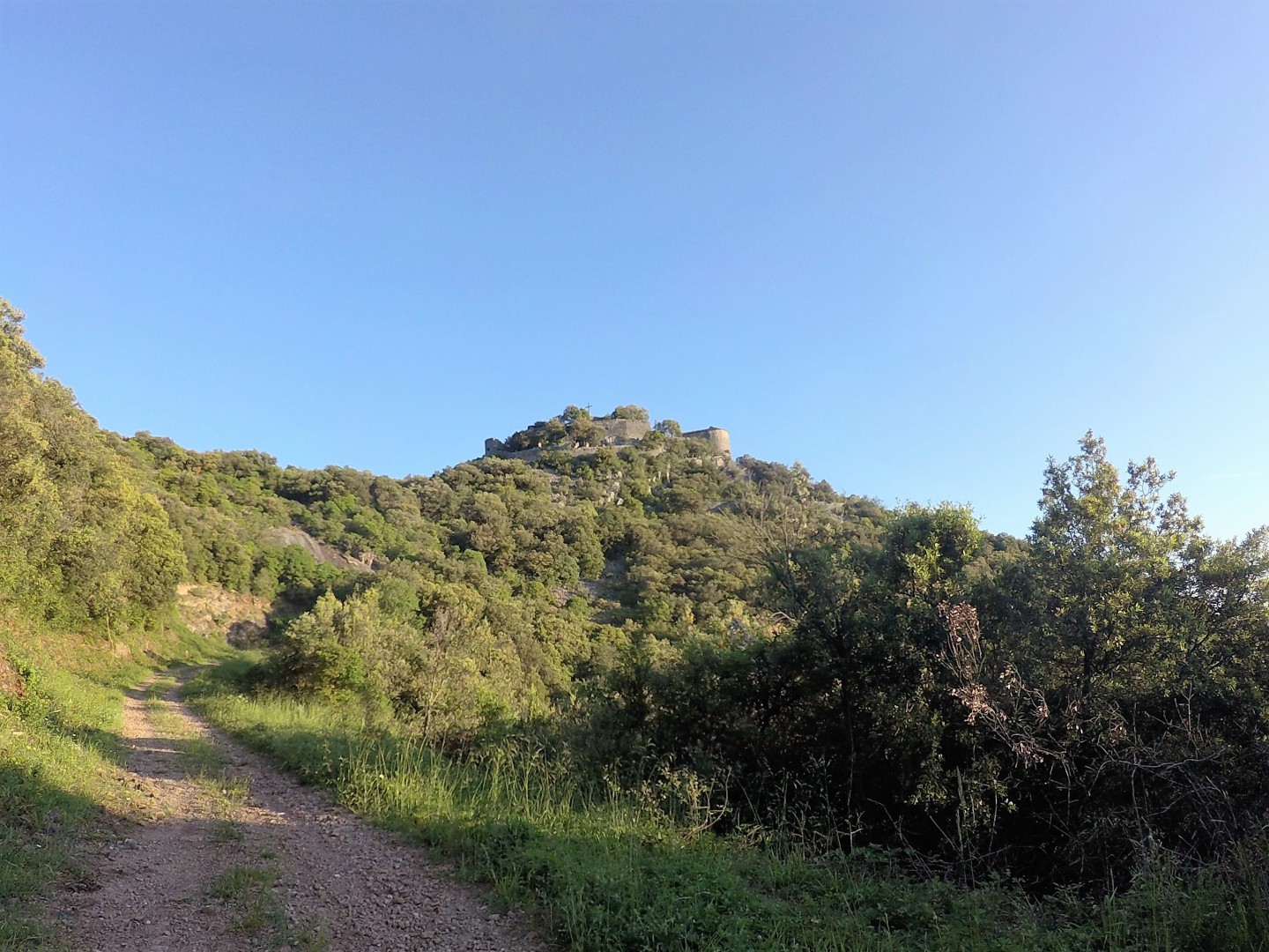 Espace VTT-FFC Pays de Lamalou - Circuit n° 6 : A l'assaut de la Coquillade