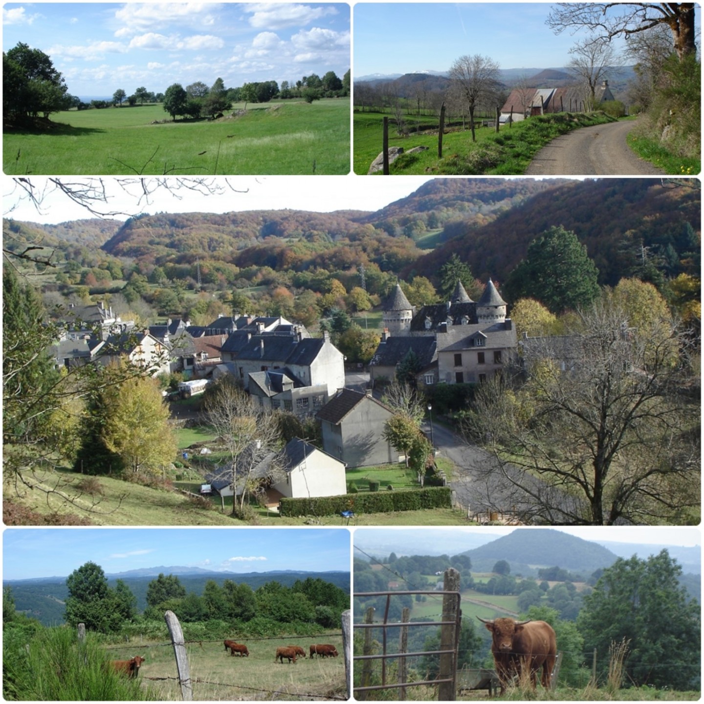 Autour de Saint-Etienne-de-Chomeil (balade entre forêt, lac et étang)