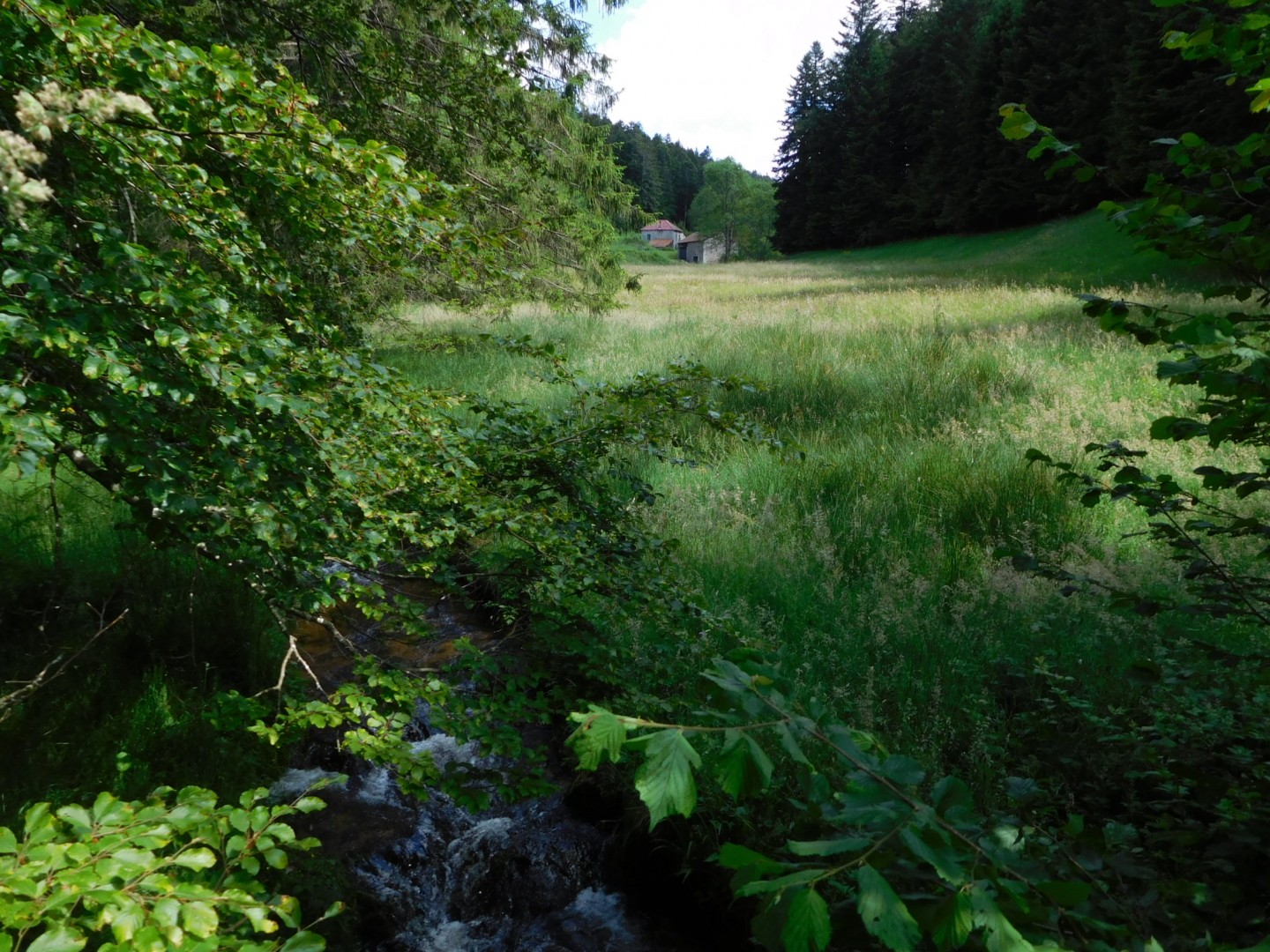 La vallée du Sapey