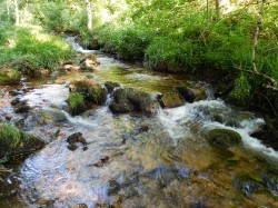 Le Sapey, ruisseau