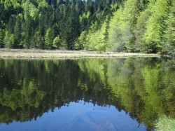 Lac de Lispach